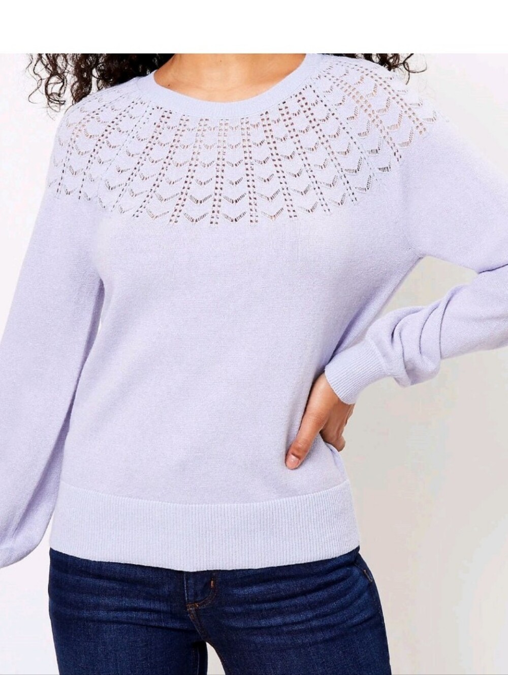 Ann Taylor LOFT Shimmer Pointelle‎ Yoke Sweater Top Size Medium Blue Heather